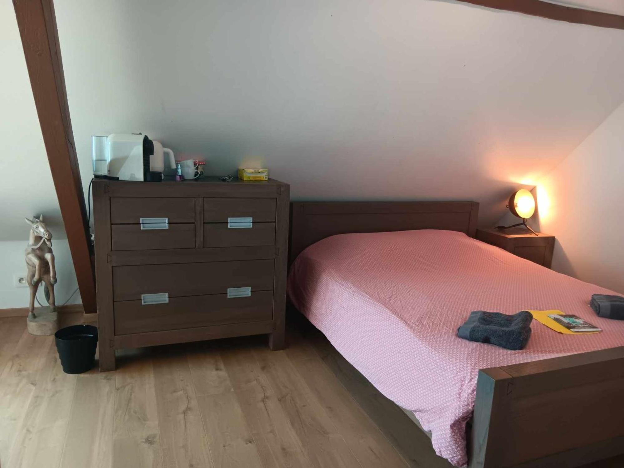 Quartier Leonard Bed and Breakfast Gent Eksteriør billede